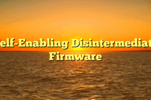 Self-Enabling Disintermediate Firmware
