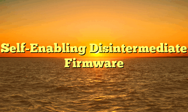 Self-Enabling Disintermediate Firmware