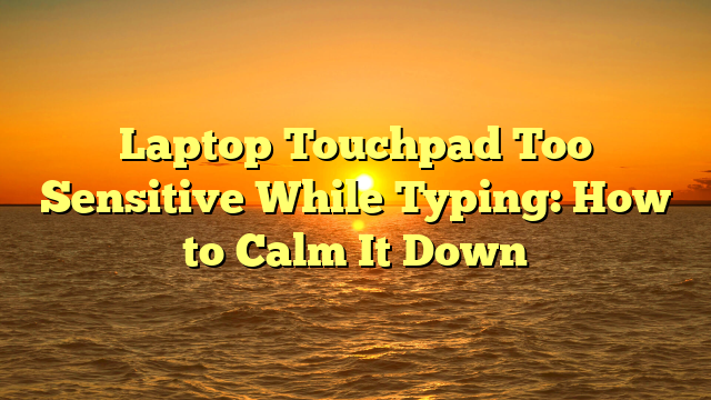 Laptop Touchpad Too Sensitive While Typing: How to Calm It Down
